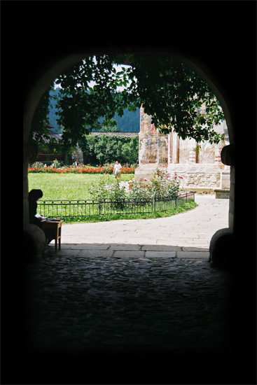 Moldovita