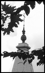 Kruk_7 
Opleciony 
2004-04-30 07:32:02