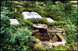 alik 
Living water 
83 
2004-05-13 12:40:51