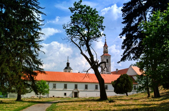 1 Monastery Krusedol, Fruska Gora