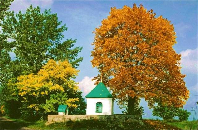 Kaplica przydrozna w Baciutach