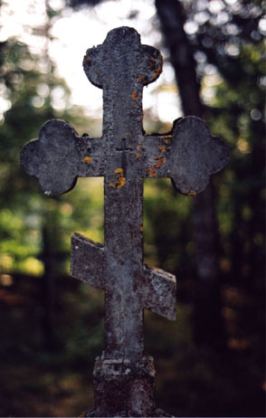 Krzyz