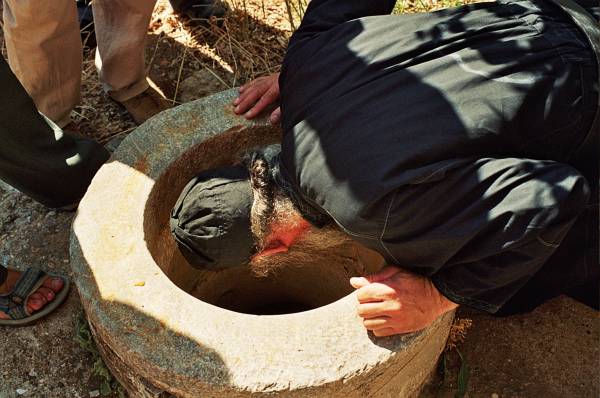 Agion Oros - Photo 13