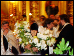 Anna Saschina 
Blagodatnye cvety 
2004-10-26 06:43:23