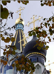 ciapus 
Moskwa - Sokolniki 
2004-10-13 22:57:20