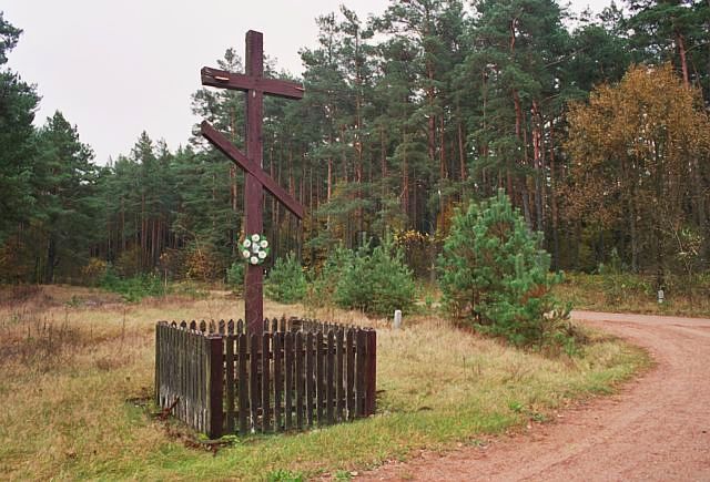 Backauszczyna - Photo 6