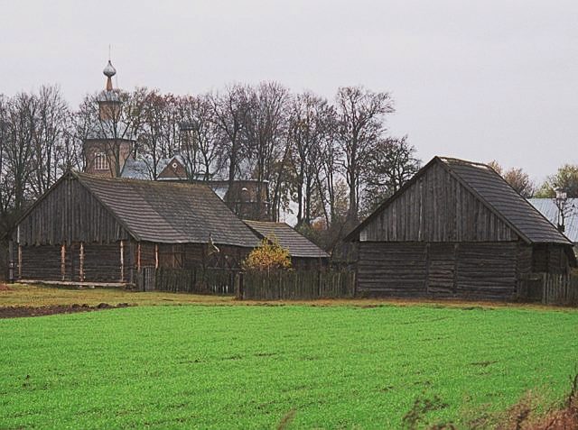 Backauszczyna - Photo 7