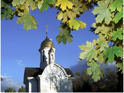 autumn