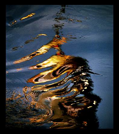 Gold in river