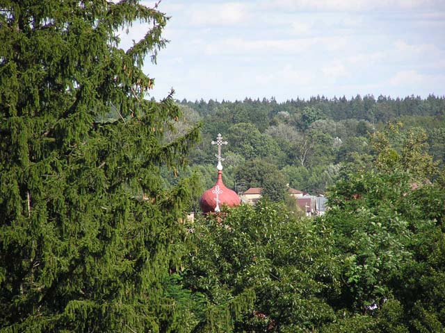 Bialowieza