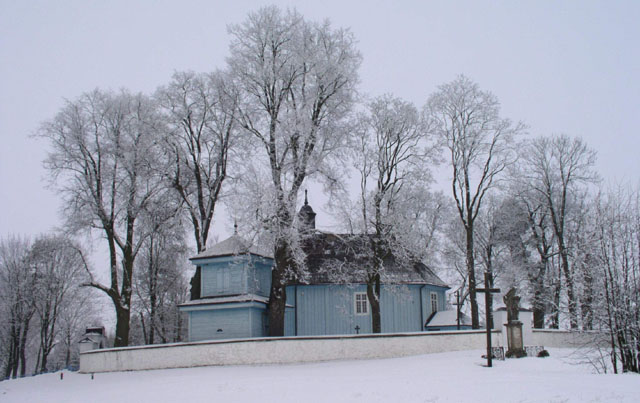 Sumnyj zimowyj den'