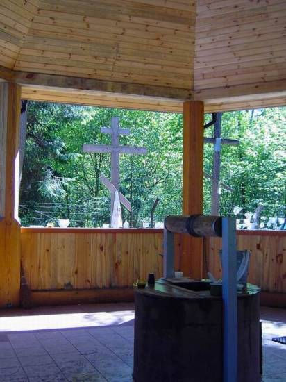 Krynoczka 2004