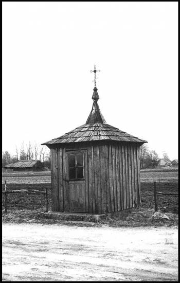 Трасьцяніца