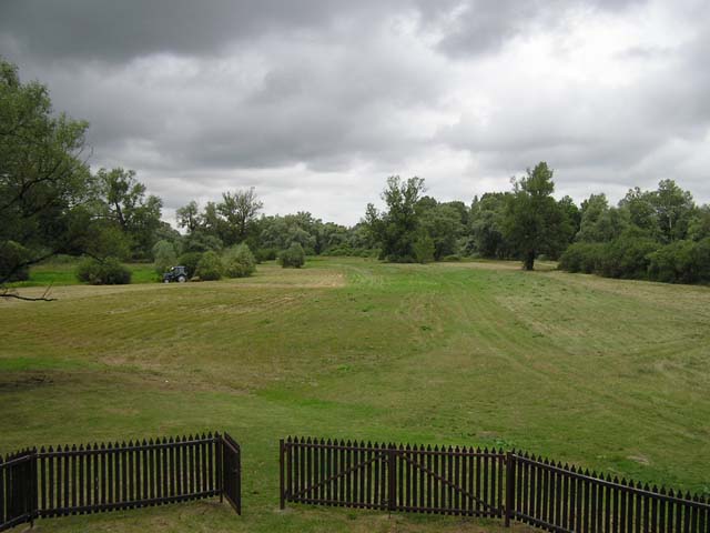 Monasterska łąka nad Bugiem