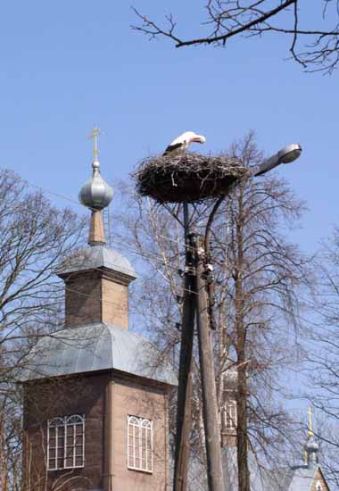 Wesnianyj etiud