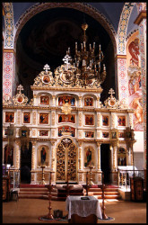 palavos 
Klejniki 
2005-04-09 20:42:19