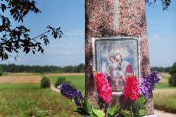 pijauka 
Ikona Metery Hospodnieji na sociovskim kryżu (Kraina adkrytyx vakiencau) 
2005-05-29 23:22:12