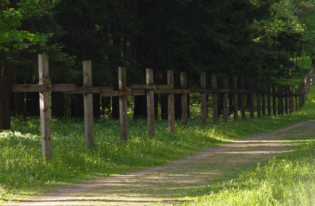 Kurapaty