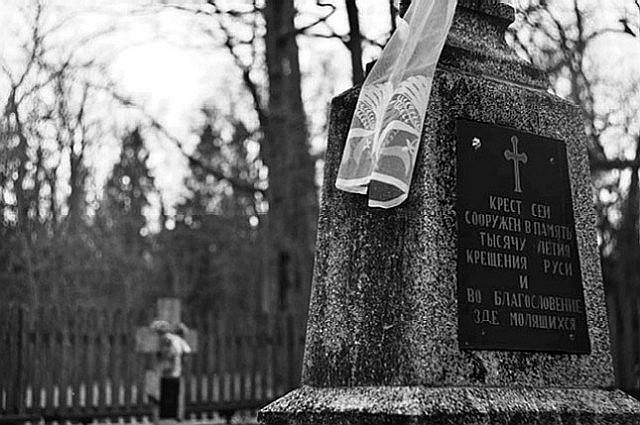 Krynoczka.