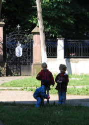 perovict 
Bezbrizna igra 
2005-06-14 11:32:49