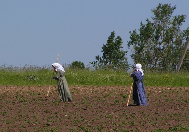 posłuszanije