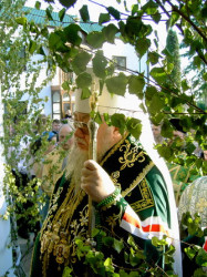Marfik 
Metropolita 
2005-11-06 17:22:28