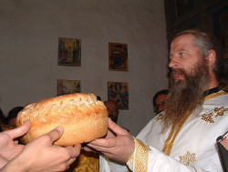 ziomek 
Monasterska Slava 
98 
2005-11-07 23:31:36