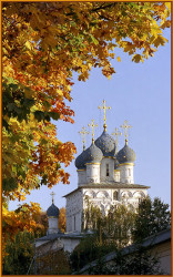 Sergei 
Under the Cover of the Golden Season 
2005-11-20 10:58:35