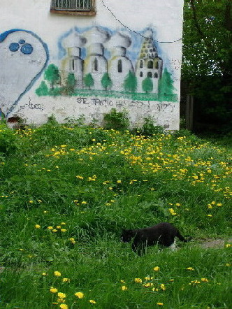 Life in the backyard of a church