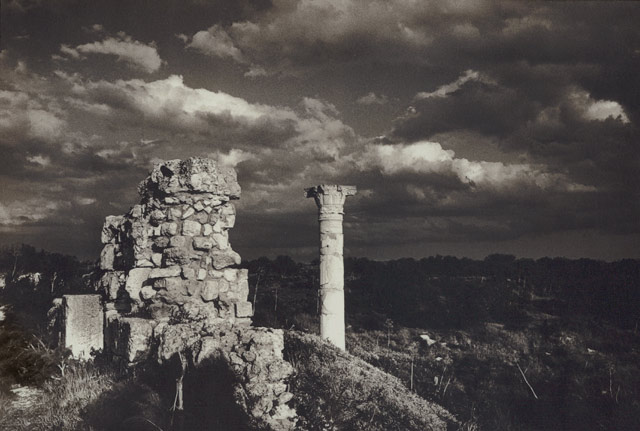 Salamis
