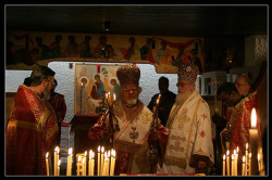 alik 
St Catherine Feast 
2005-12-09 13:48:20