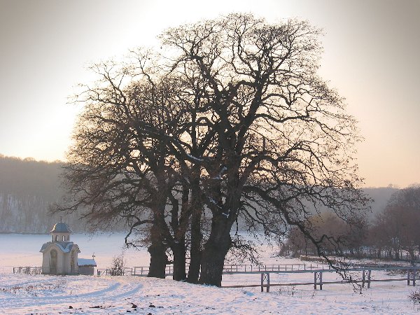 a winter view