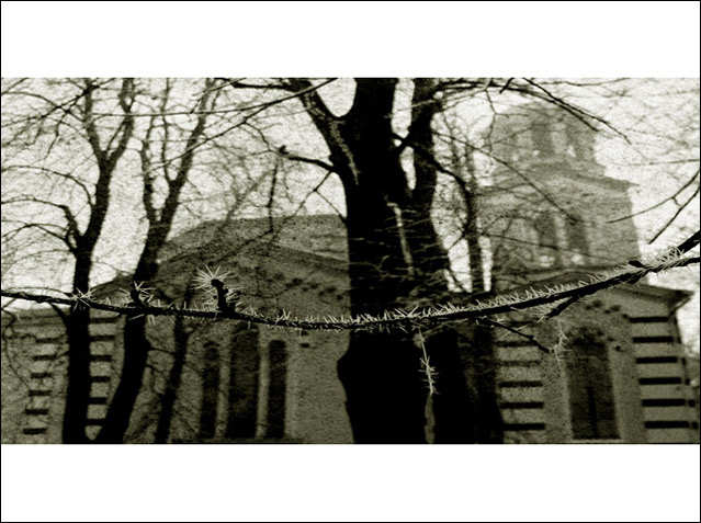 Sofia