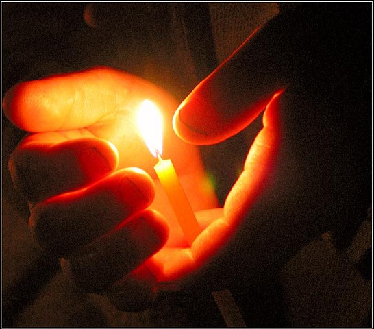 the Light