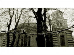 Anima_Mea 
Sofia 
2006-01-26 19:02:45