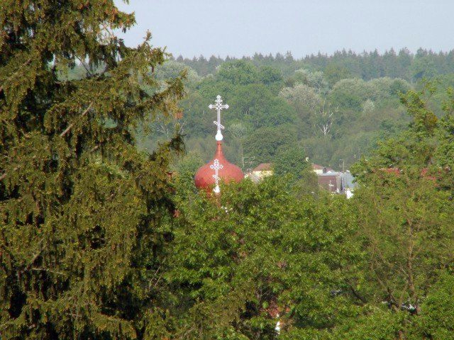 Białowieża po raz wtóry