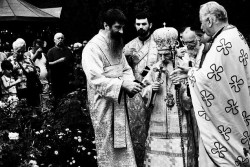 zoof 
Dormition Theotokos 
2006-02-02 01:09:11