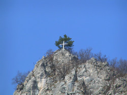 dragoj03 
 
2006-02-13 17:23:33