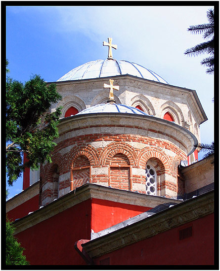 žiča