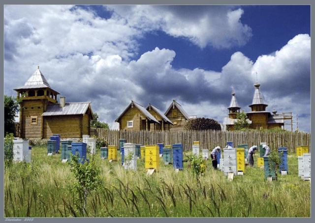 Apiary land