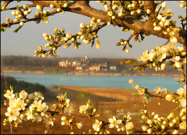 Caldarusani monastery in spring