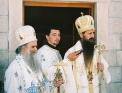 sapuric 
MITROPOLIT I VLADIKA 
2006-03-02 12:10:54