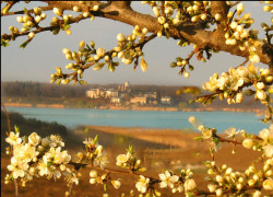 fotografu 
Caldarusani monastery in spring 
150 
2006-03-28 21:46:29