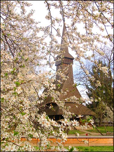 Church in Maramures