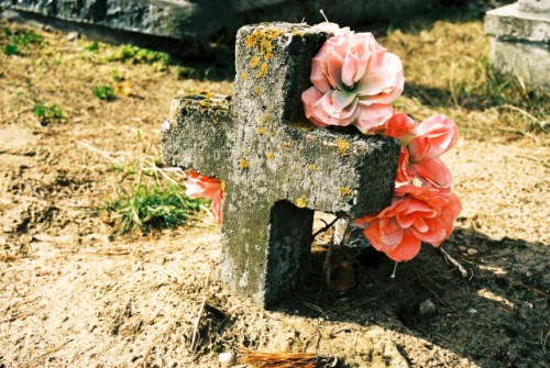 krzyżyk