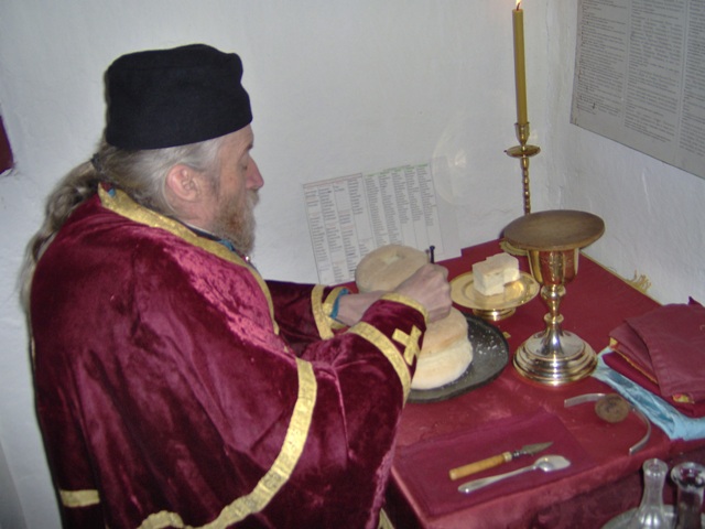 O. Timotej - M. Divljana