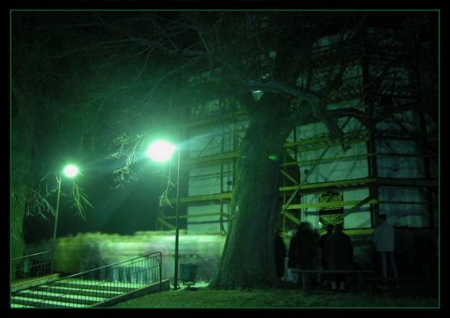 PASCHA 2006 GRÓDEK