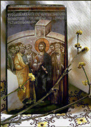 perovict 
Икона и гранчице дрена 
2006-04-02 17:21:20