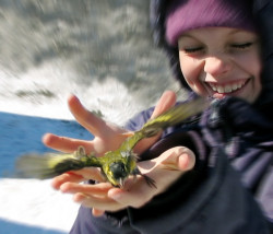 Dionisy, ierei 
Благовещение!..... 
177 
2006-04-11 19:50:00