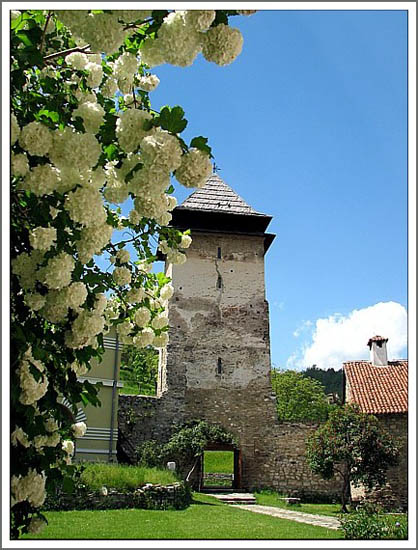 Maj у Студеници  -  May in Studenica